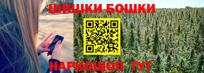 тгк Новозыбков