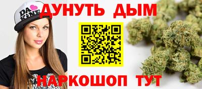 тгк Новозыбков