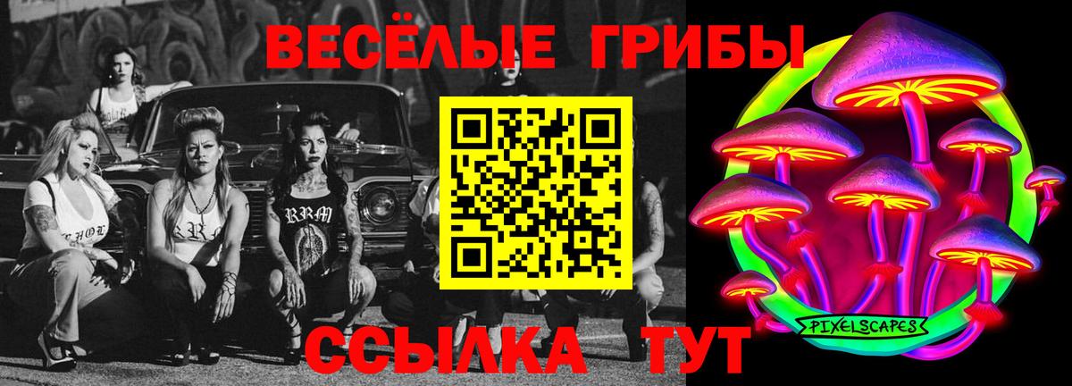 Галлюциногенные грибы мицелий Тула